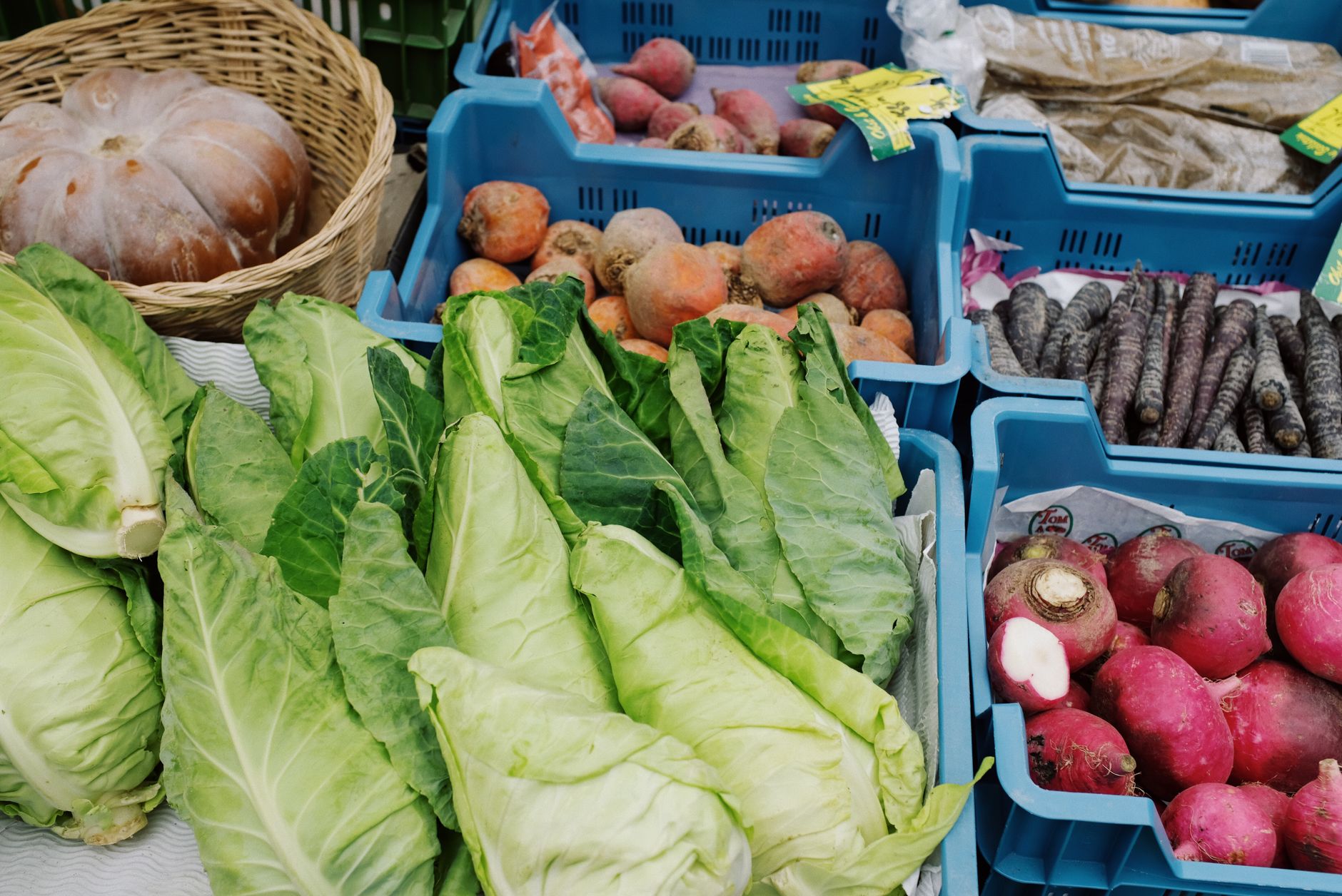 Noordermarkt (Saturday market) at Jordaan, Noorderkerk — photo by ready made