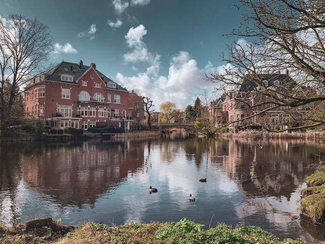 Vondelpark Open Air Theatre 2026 — photo by Vinicius A. Nascimento