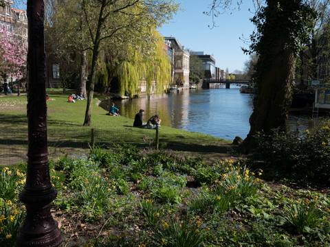 The Best Parks & Green Spaces in Amsterdam