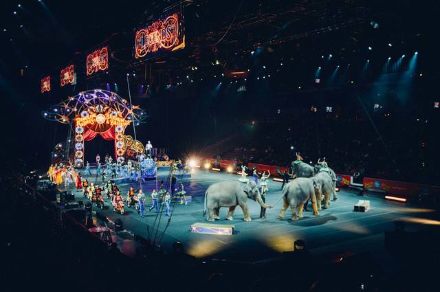 Atmosphere photo for World Christmas Circus at Carré 2026