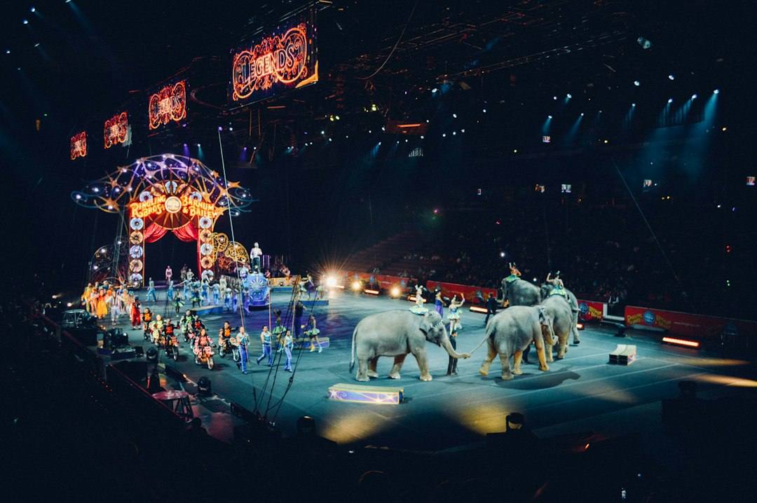 Atmosphere photo for World Christmas Circus at Carré 2026